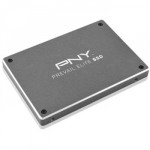 ssd-pny